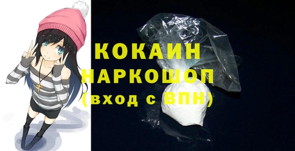 гидра Заводоуковск