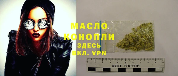 гидра Заводоуковск
