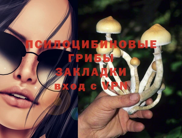 гидра Заводоуковск