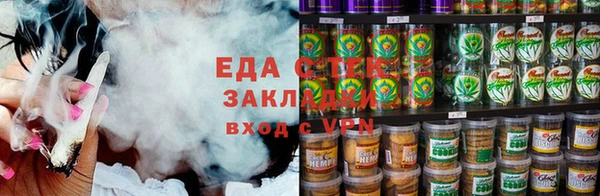 гидра Заводоуковск