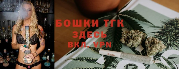 гидра Заводоуковск