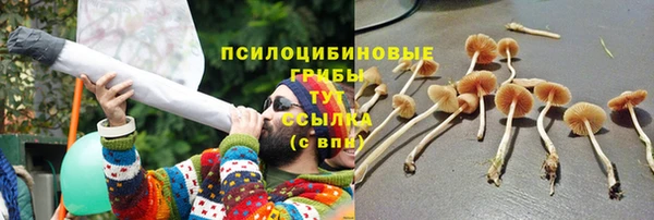 гидра Заводоуковск