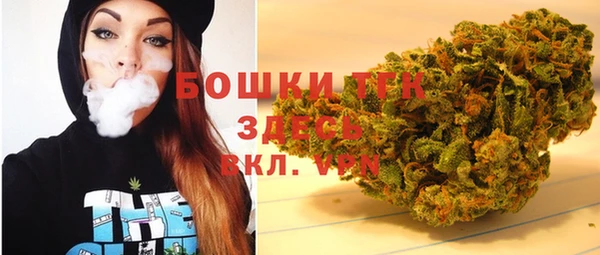 гидра Заводоуковск