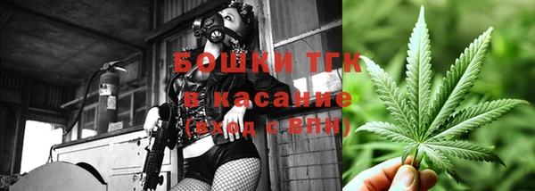гидра Заводоуковск