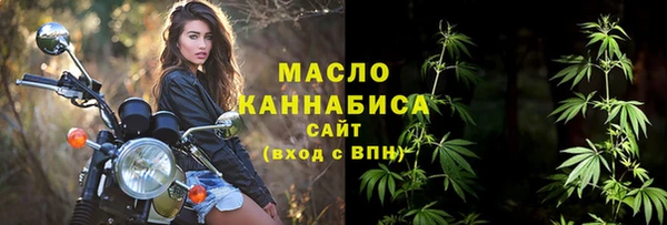 гидра Заводоуковск