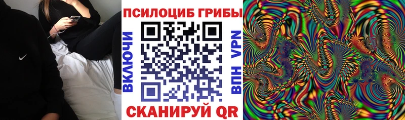 Псилоцибиновые грибы Psilocybe  Костомукша 